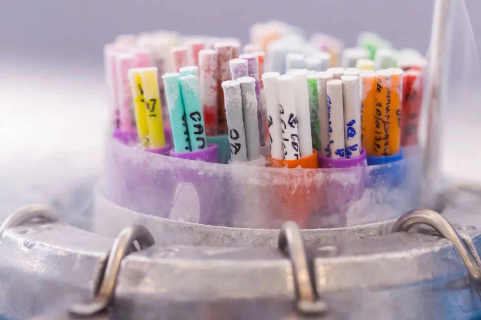 what you should know egg freezing 01